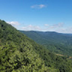 Meet your Posher, Judy